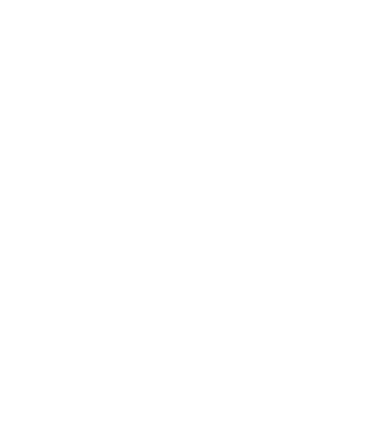 Pelkmann Group